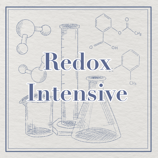 (10/10 推出) Redox 精讀課程（英文卷）